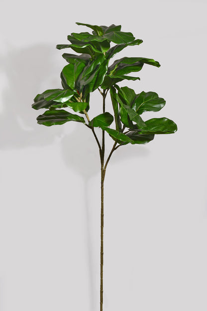 56“ Fiddle Leaf Branch Green
