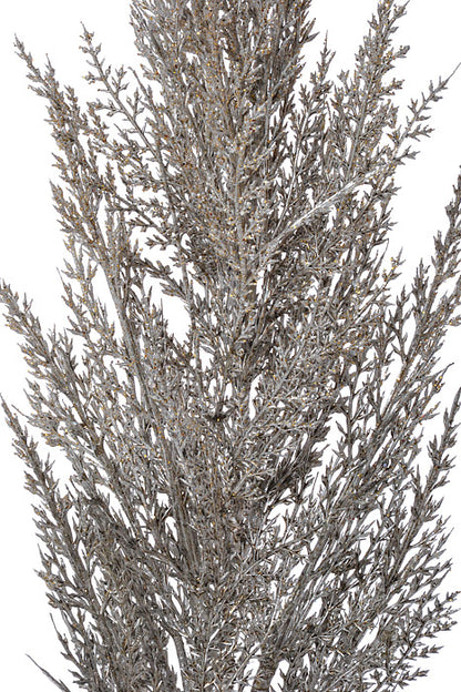 36" Frosted Metallic Pampas Grass Spray Silver
