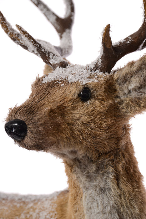 22" X 15.5" Deer With Snow Brown