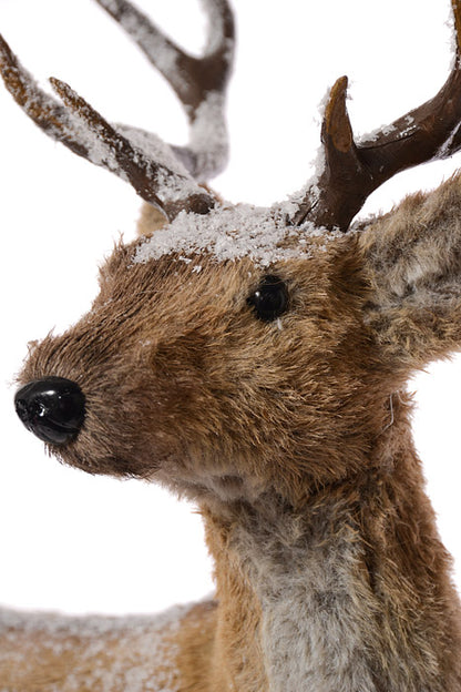 22" X 15.5" Deer With Snow Brown