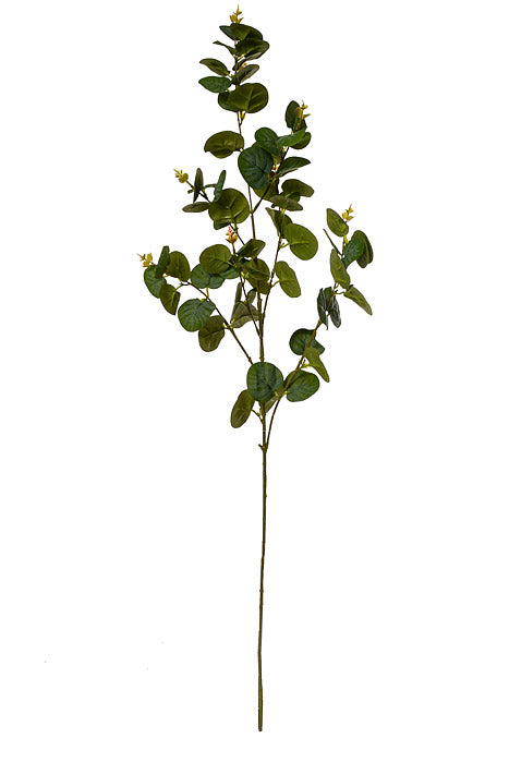 32" Eucalyptus Spray Green