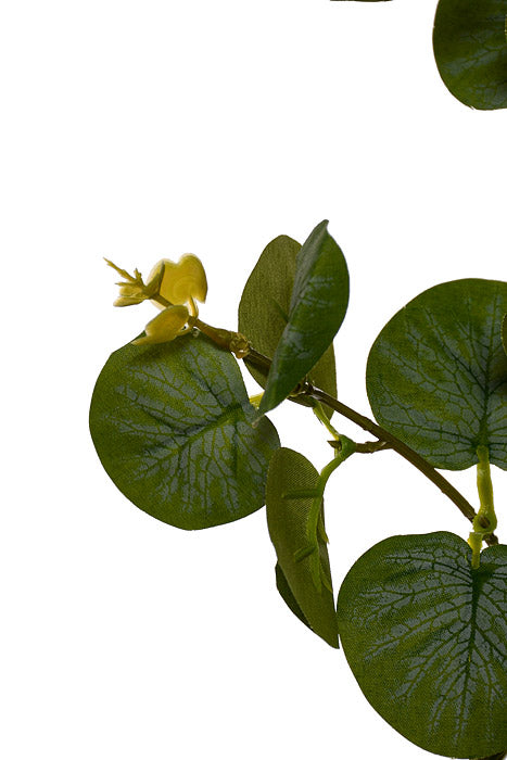 32" Eucalyptus Spray Green