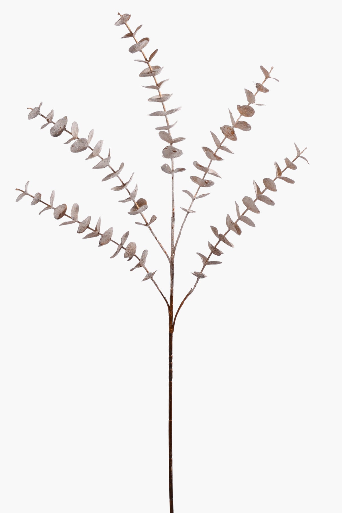 33" Eucalyptus Leaf Spray W/Frost Copper