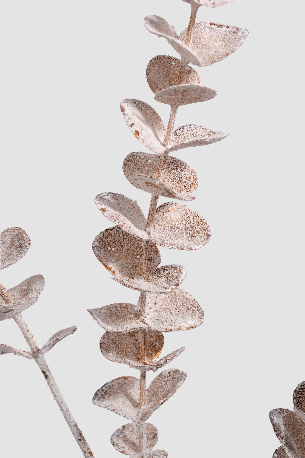 33" Eucalyptus Leaf Spray W/Frost Copper