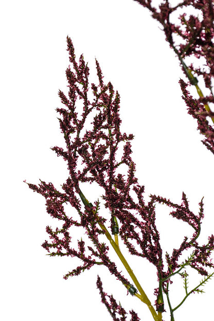 39" Heather Spray Dark Brown