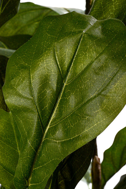 5Ft Artificial Fiddle Tree In Pot Green