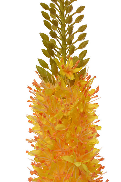 35" Eremurus Spray Yellow