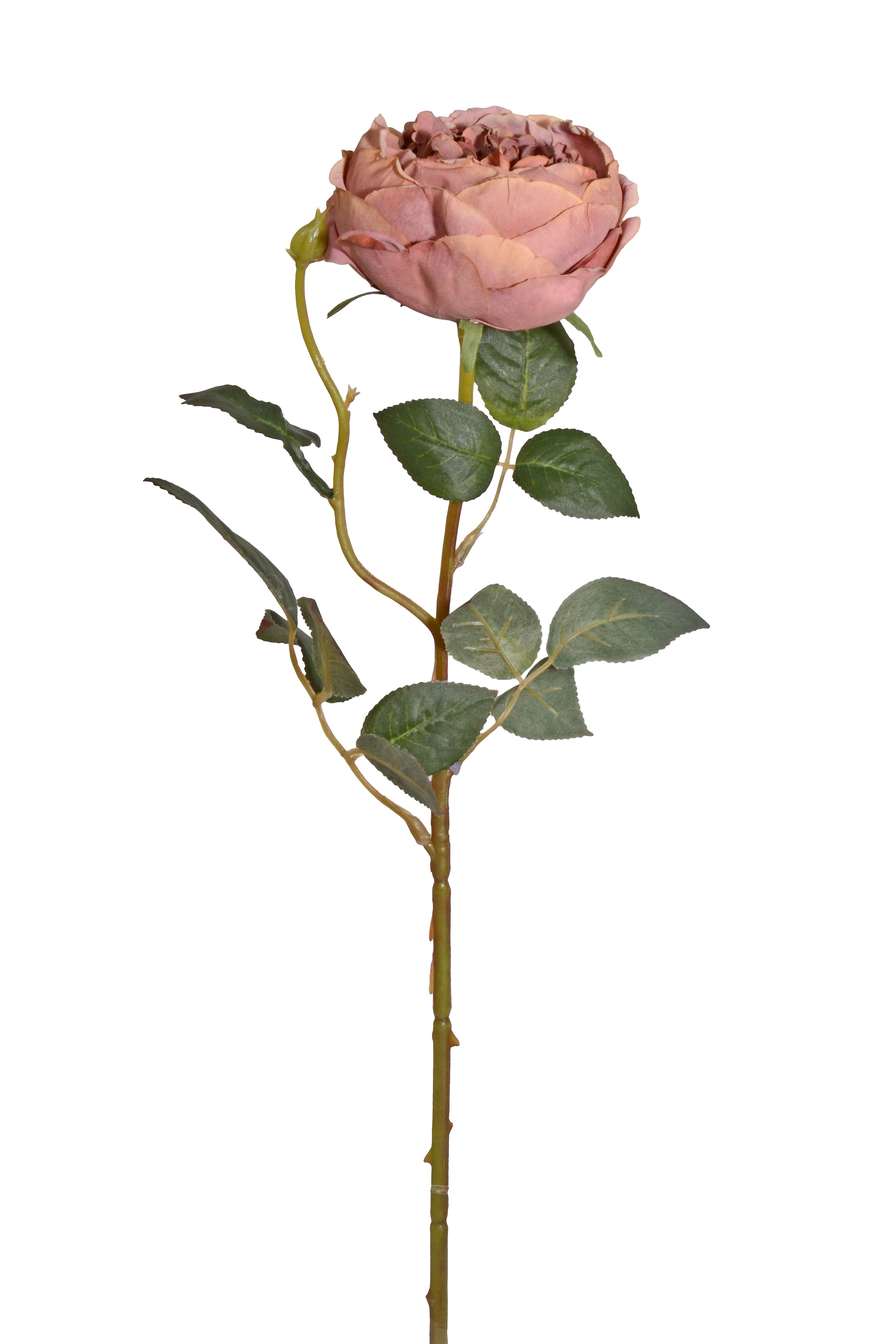 24.5" Silk Cottage Rose Spray Brown