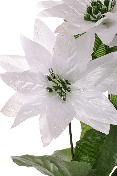 11" Poinsettia Bush With Glitter White