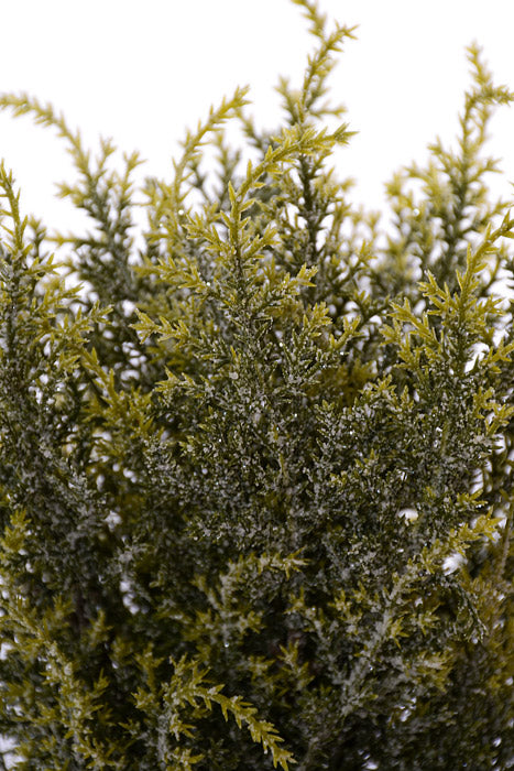 15" Cedar Bundle With Ice Green/White