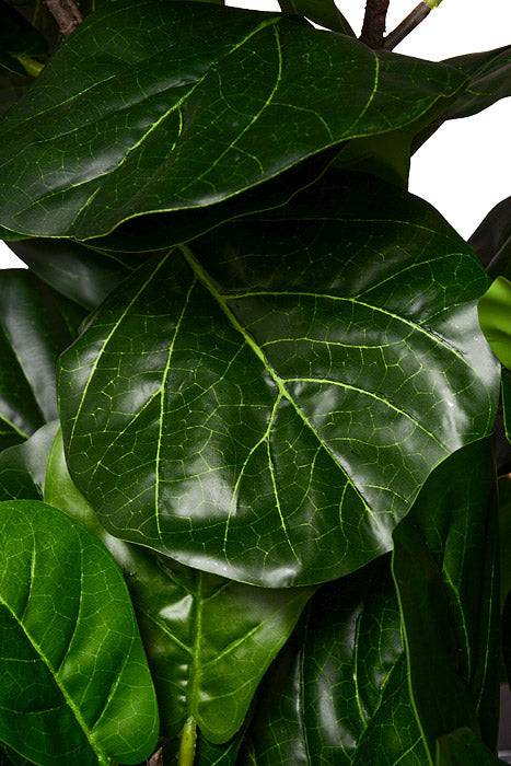 82" Fiddle Leaf Tree In Pot Green