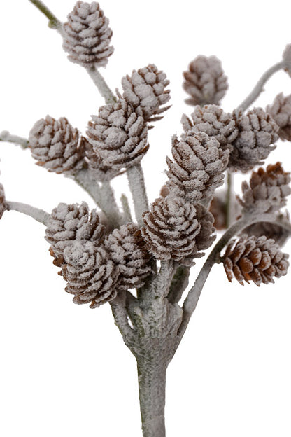 20.5" Snow Pinecone Hanging Spray White/Brown