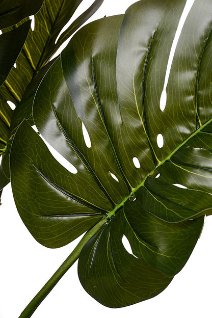 78" Monstera Leaf Tree In Pot Green