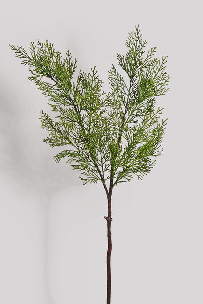 34" Cedar Spray Green