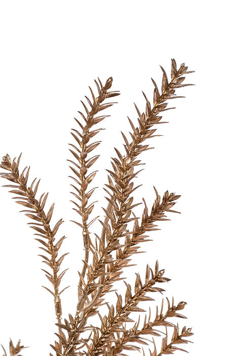 17.5" Metallic Pine Bush Champagne