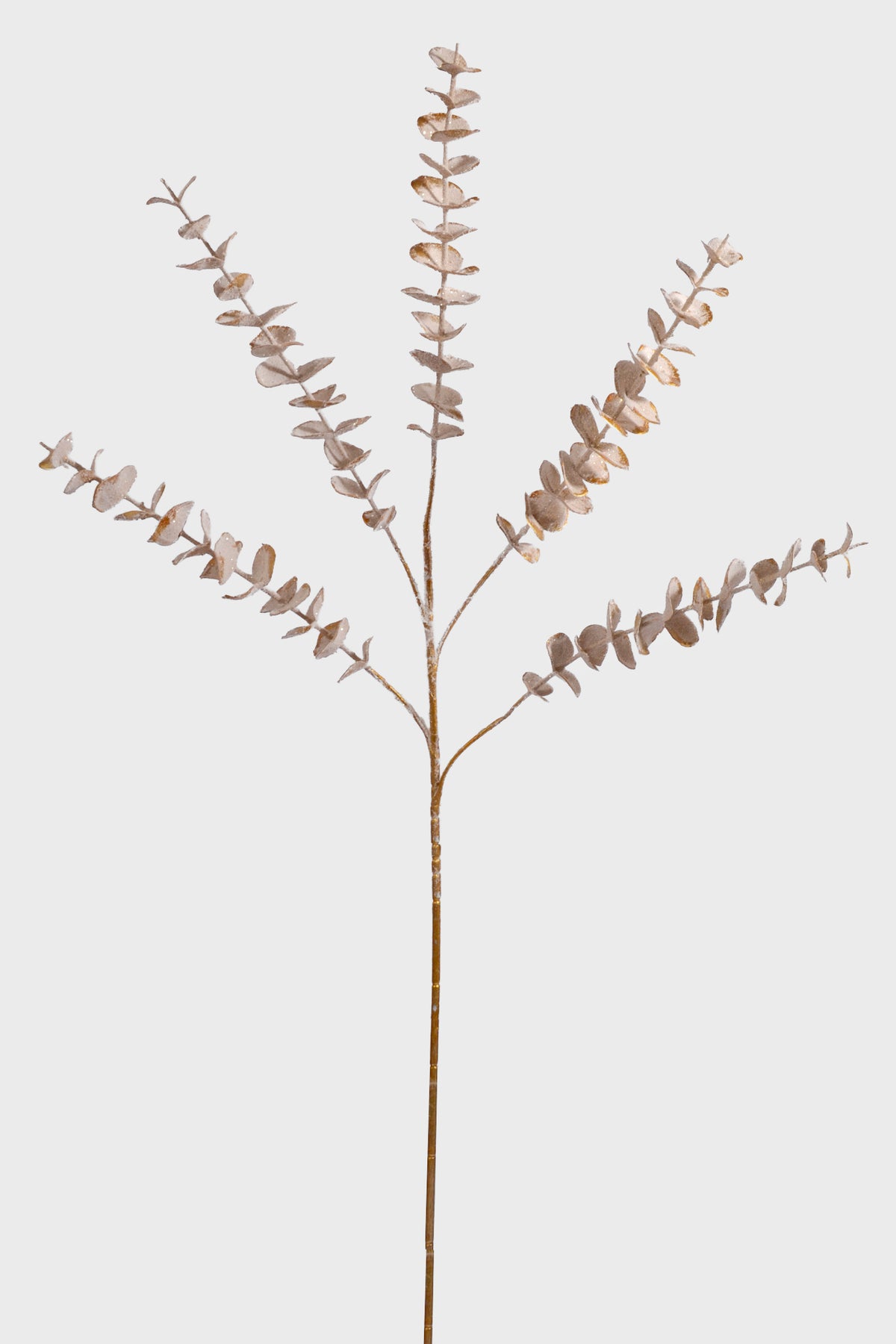 33" Eucalyptus Leaf Spray W/Frost Gold