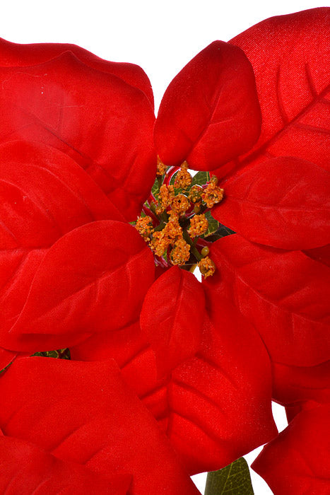 18" Poinsettia Bush Red