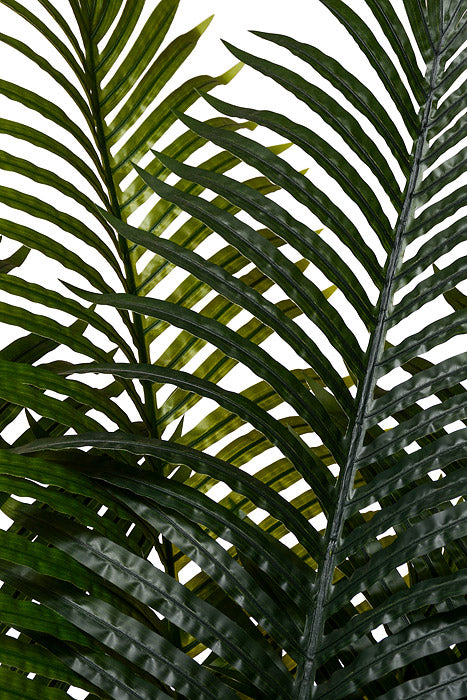 78" Areca Palm Tree In Plastic Pot Green