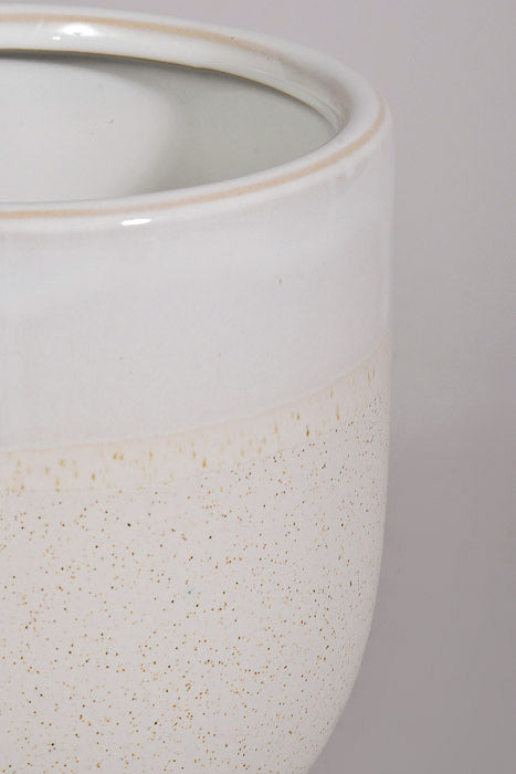 5" X 6.5" Laney Vase White