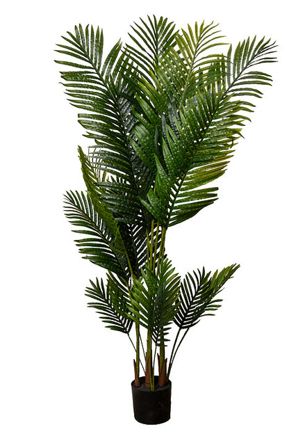 66" Areca Palm Tree In Plastic Pot Green