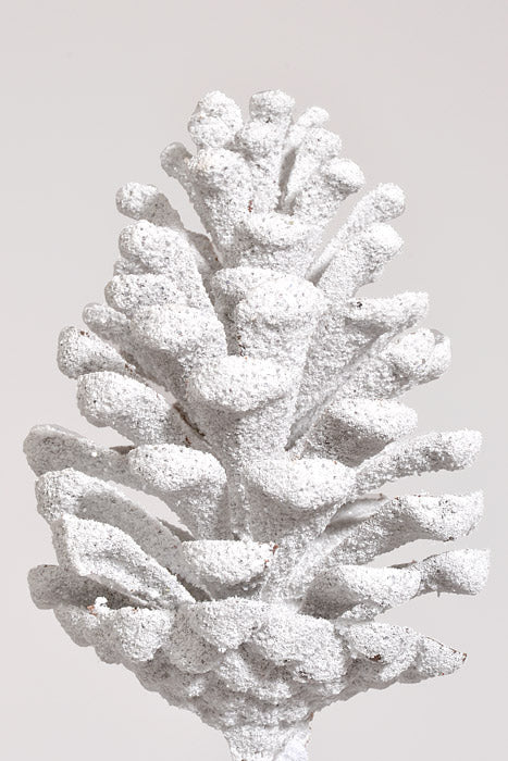 24" Pinecone Spray White