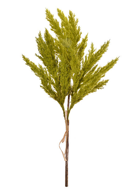 18" Pampas Grass Bundle Green