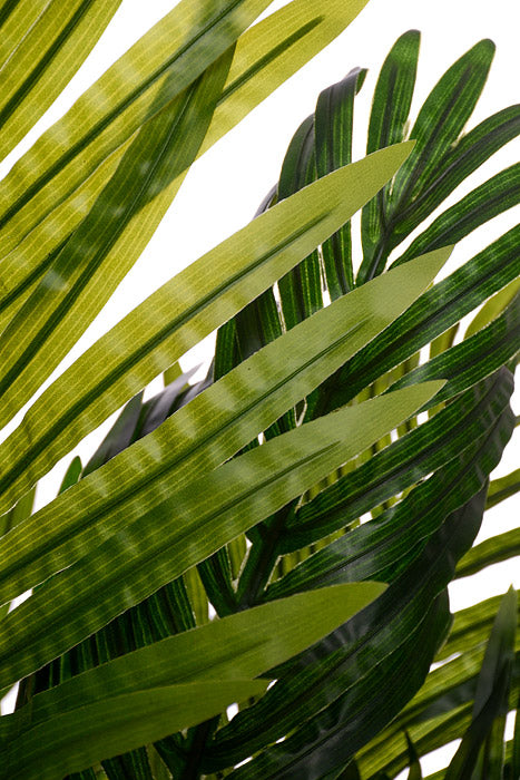 35" Areca Palm Tree In Plastic Pot Green
