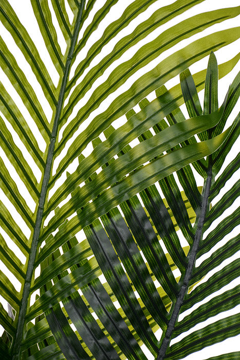 47" Areca Palm Tree In Plastic Pot Green