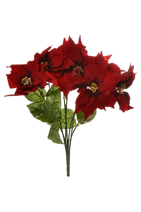 20" Poinsettia Bush Black/Red