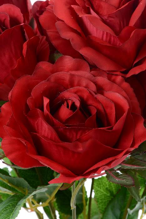 19" Rose Bud Bush X10 Red