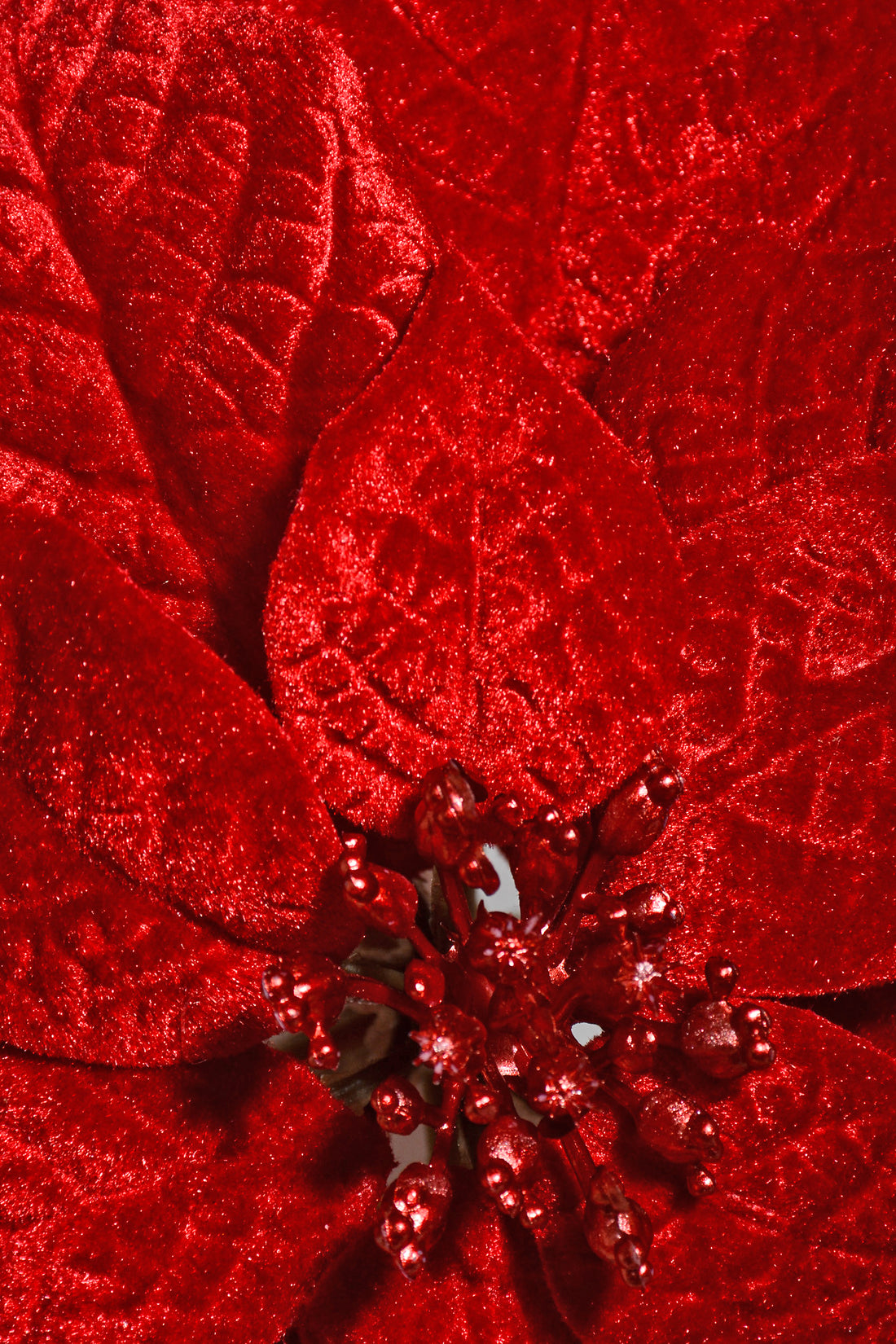 10" Velvet Poinsettia With Clip Red