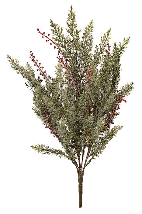 20" Cypress Bush Green