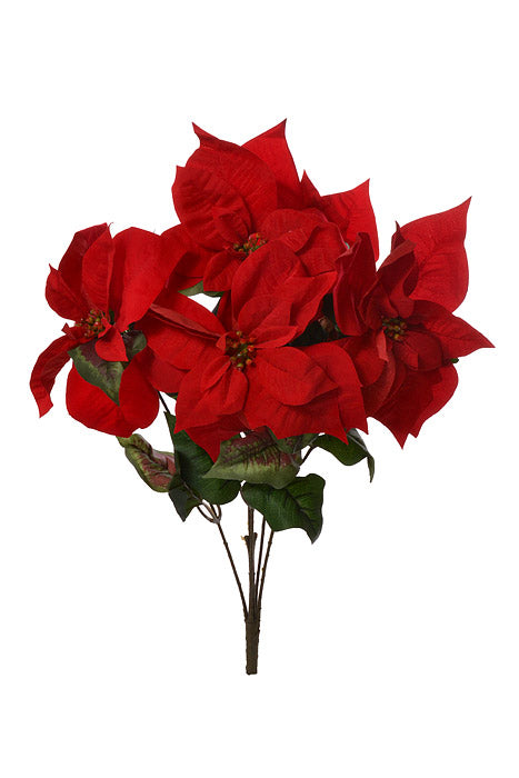 23.5" Majestic Velvet Poinsettia Bush Red