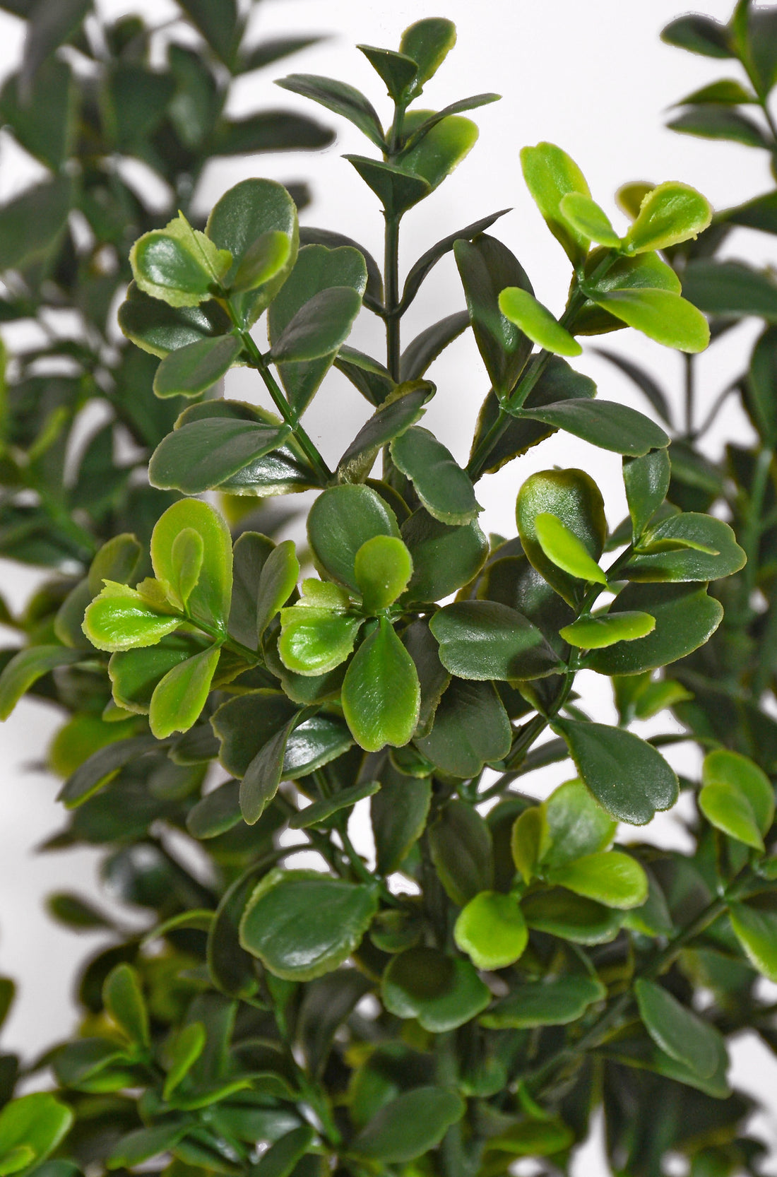 17" Artificial Boxwood Bush Green