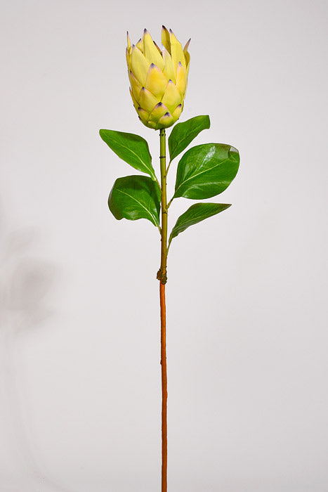30.5" Silk Protea Spray Yellow
