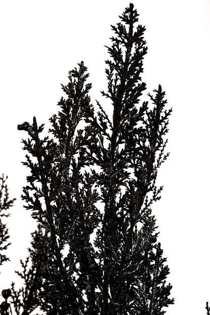 19" Cypress with Glitter Bush Black