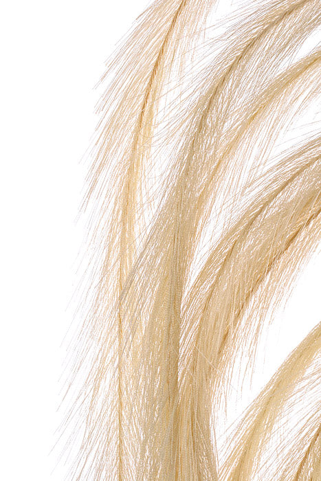 62" Pampas Stem Natural