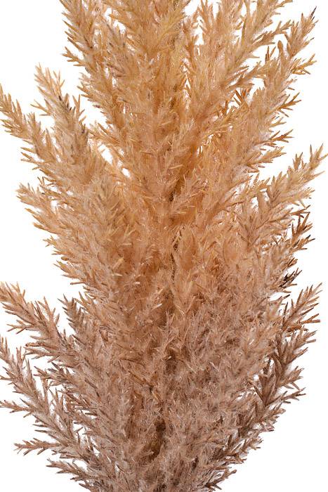 35.5" Pampas Grass Spray Brown