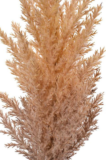 35.5" Pampas Grass Spray Brown