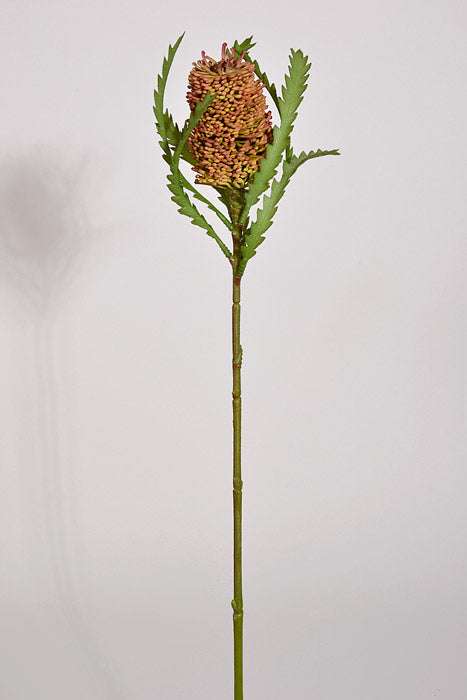 24" Banksia Spray Mauve/Green