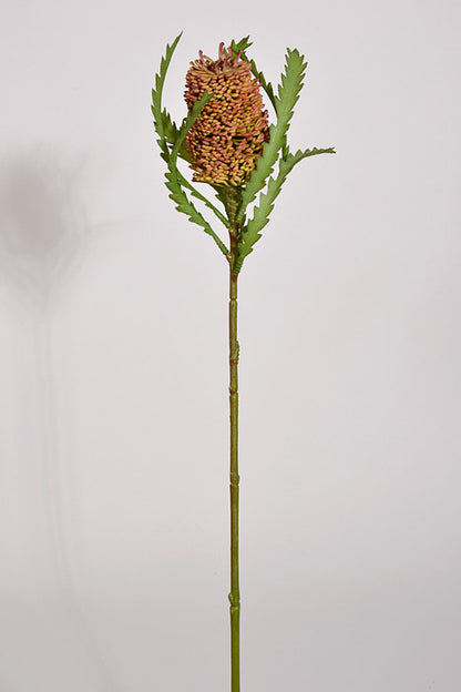 24" Banksia Spray Mauve/Green