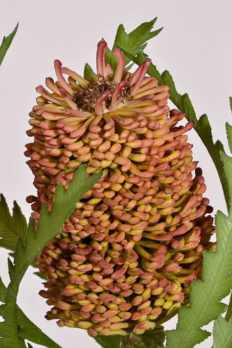 24" Banksia Spray Mauve/Green