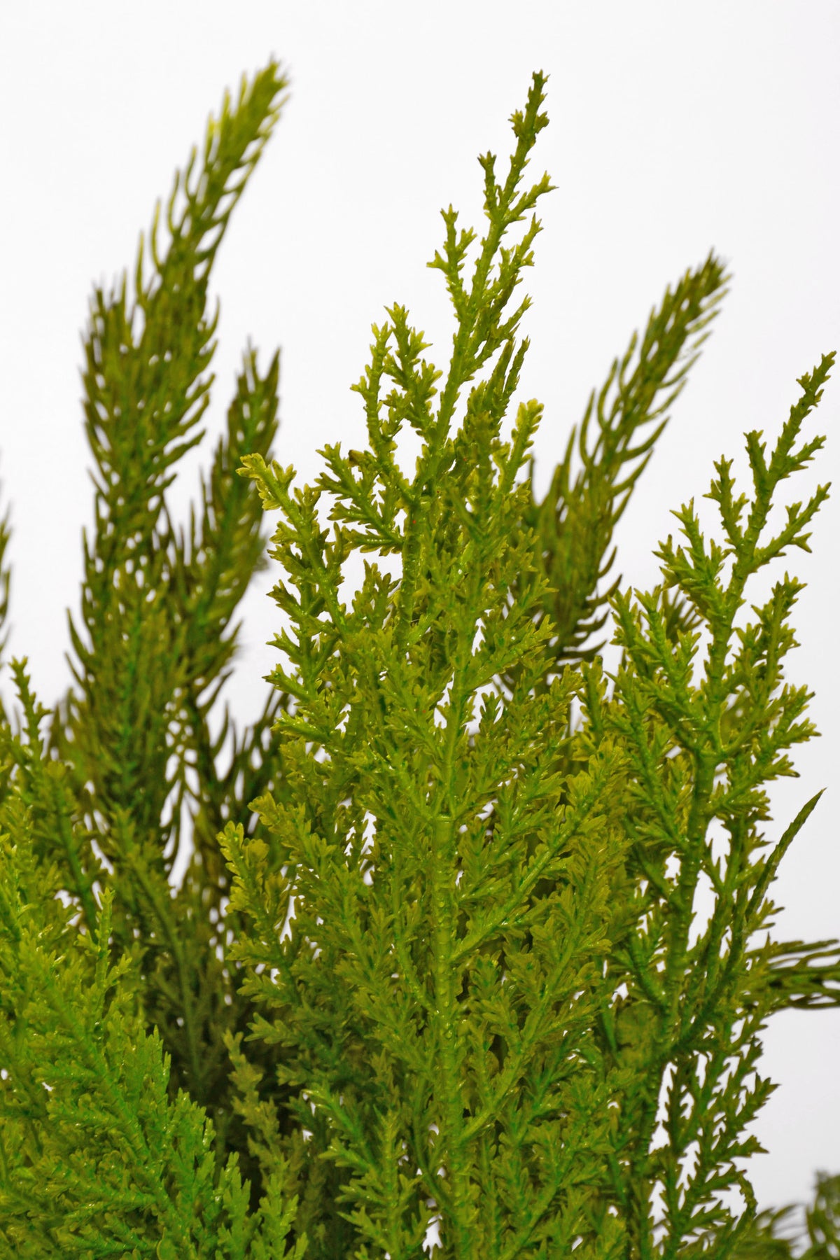 18" Real Touch Cedar/Norfolk Pine Bundle Green