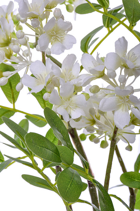 22&quot; Silk Stephanotis Spray White
