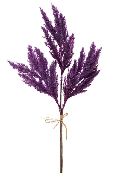 18" Pampas Grass Bundle Purple