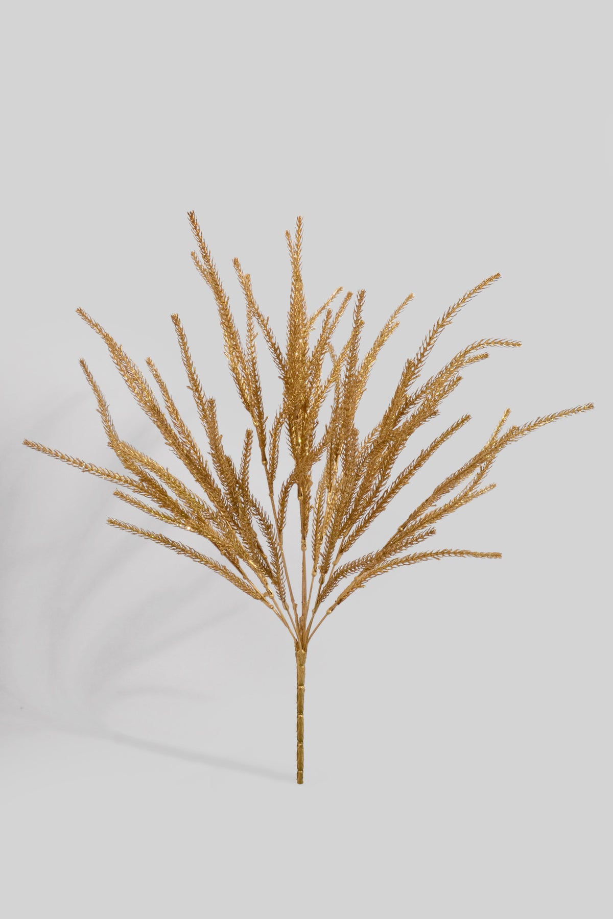 21.5" Grass Bush Gold