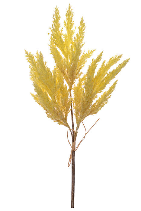 18" Pampas Grass Bundle Yellow