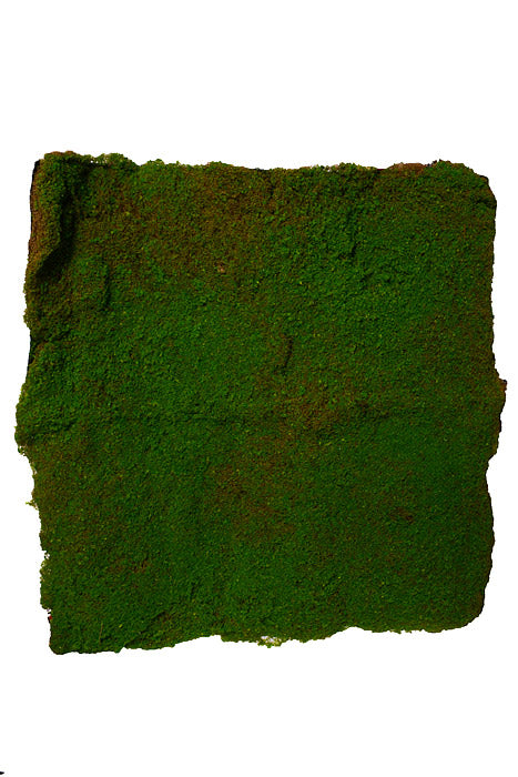40" Moss Mat Green