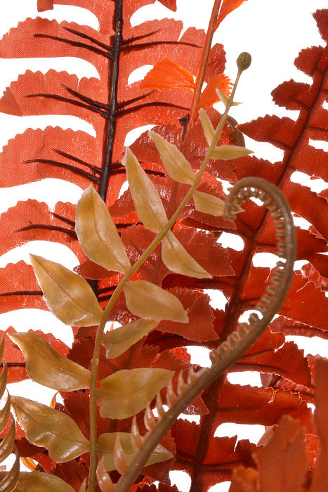 23.75" Fern Bush (Brick Red)
