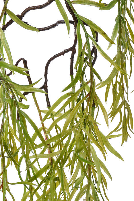 63" Willow Branch Green